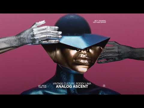 Vintage Culture, Roddy Lima - Analog Ascent