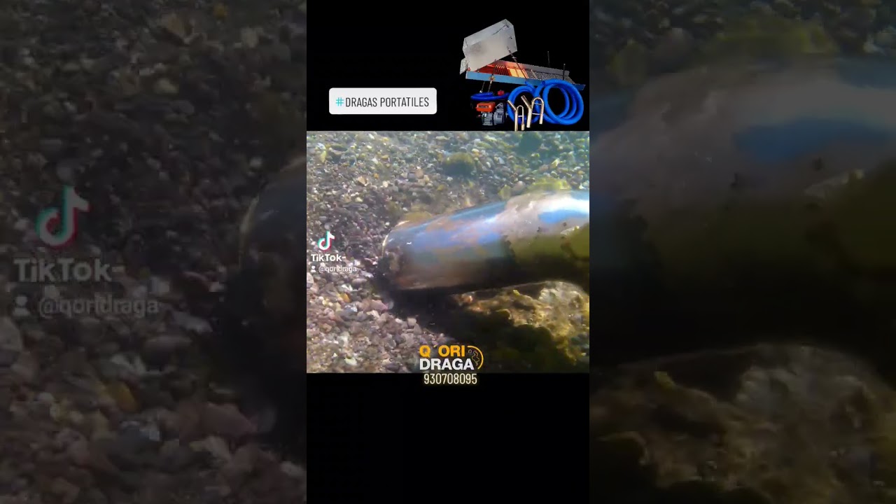 Mini Draga 3" - Compact & Powerful