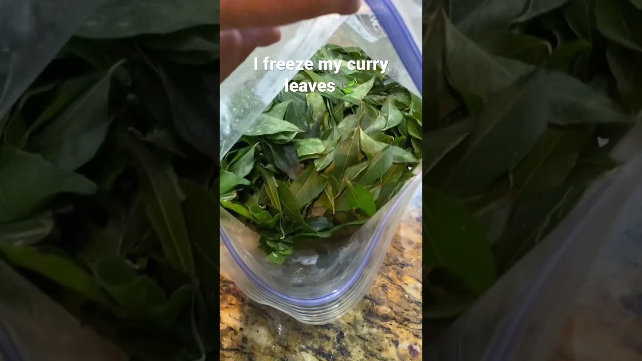 Frozen Curry Leaves for Fresh Flavor