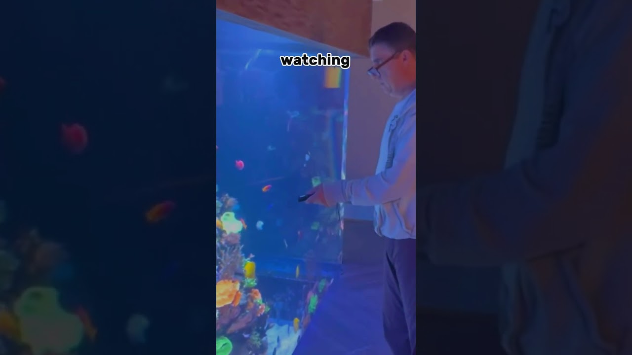 The Difficulty of a 17,000 Gallon Reef Tank #Shorts