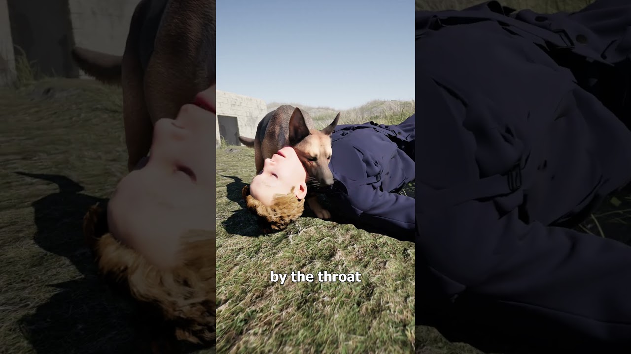 The Hero War Dog 🐕