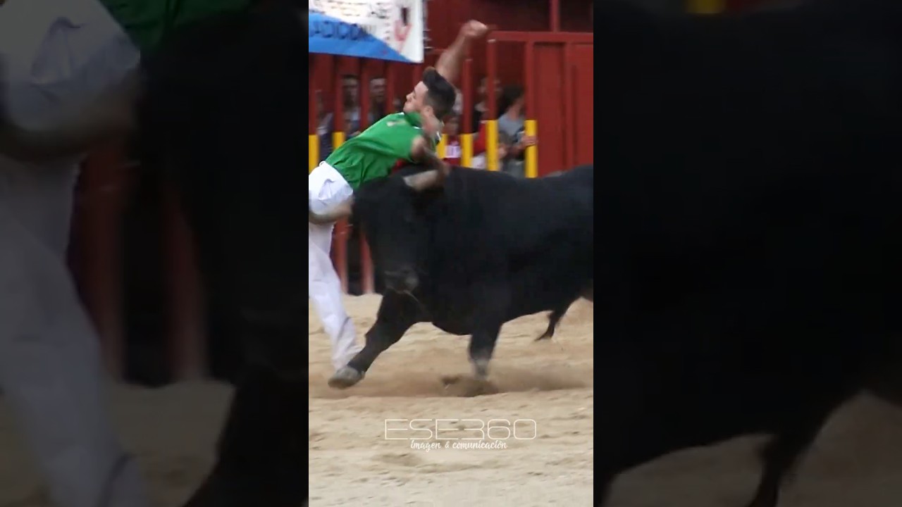 Recorte Épico de Toros Bravos en Madrid 🐂