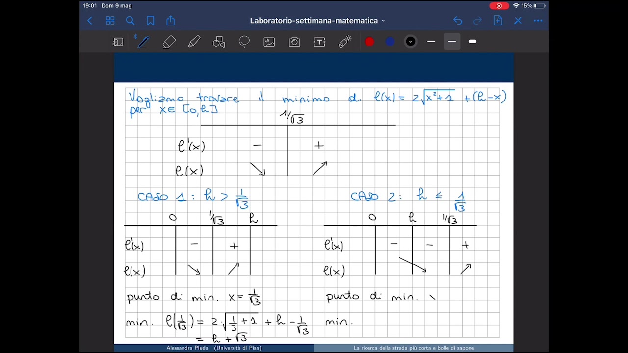 Alessandra Pluda: La Ricerca della Strada Più Corta e le Bolle di Sapone 🌟