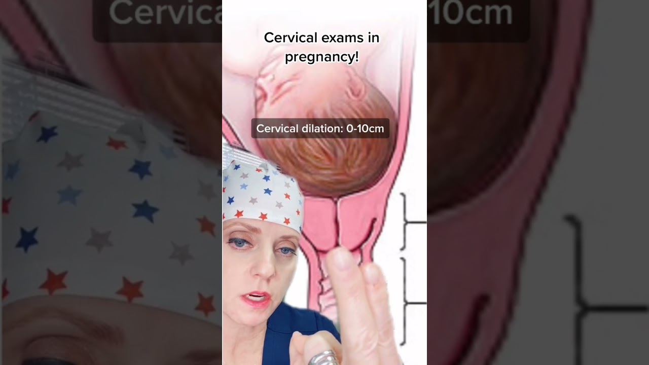 Understanding Cervical Exams π€°
