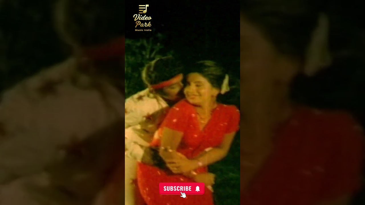 Adho Vaanile Song from Thandanai (1985) 🎶