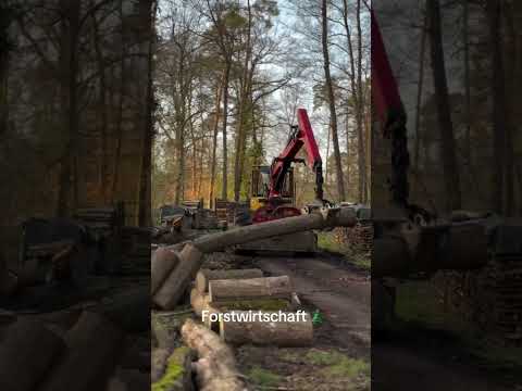 This is how we work🔥 #forstwirtschaft #chainsaw #forsttechnik