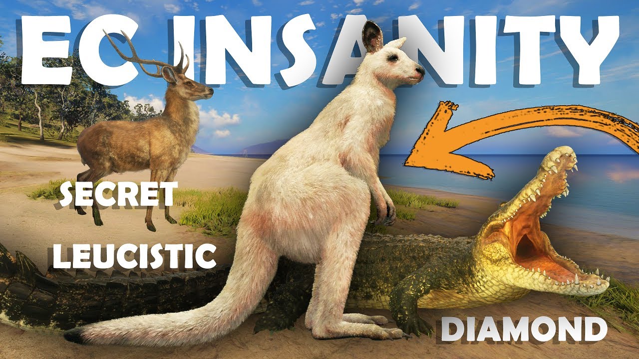 Emerald Coast's Hidden Secret! 🌊