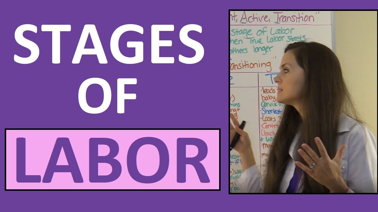 Stages of Labor in Nursing 🩺 for NCLEX & Maternity