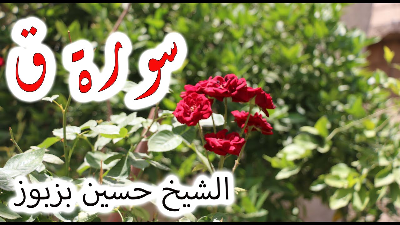 استماع رائع لآيات من سورة ق بصوت الشيخ حسين بزبوز 🎧