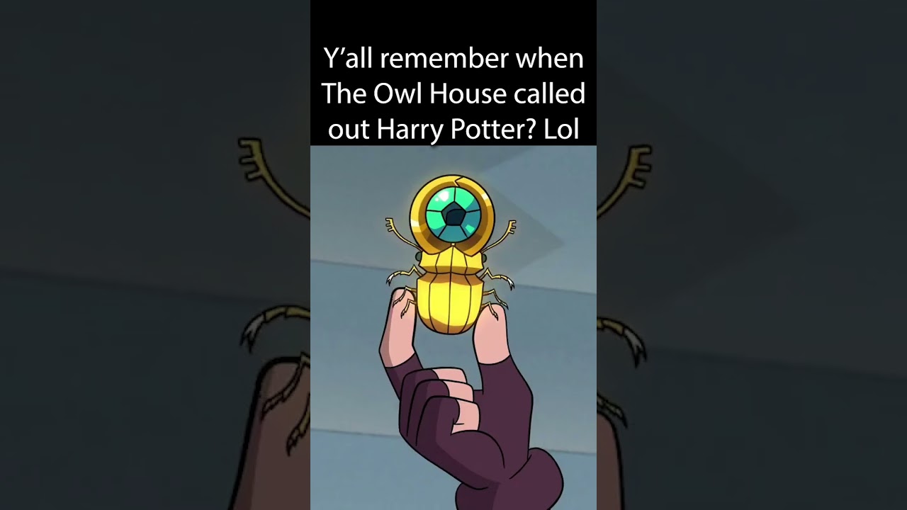 That Time The Owl House Called Out Harry Potter...