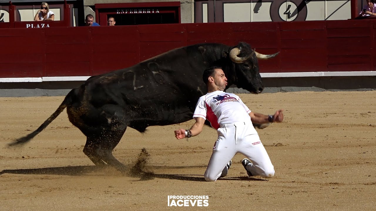 Semifinal Campeonato de España de Recortadores en Madrid 🐂