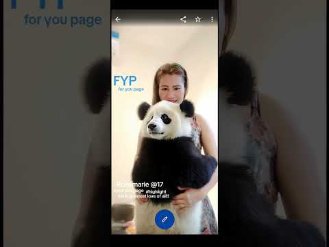 POV; #fashionThrowback a little cute bear on reelviral            fyp# you page !! lovebear 🐨🐻♥️🇺🇸