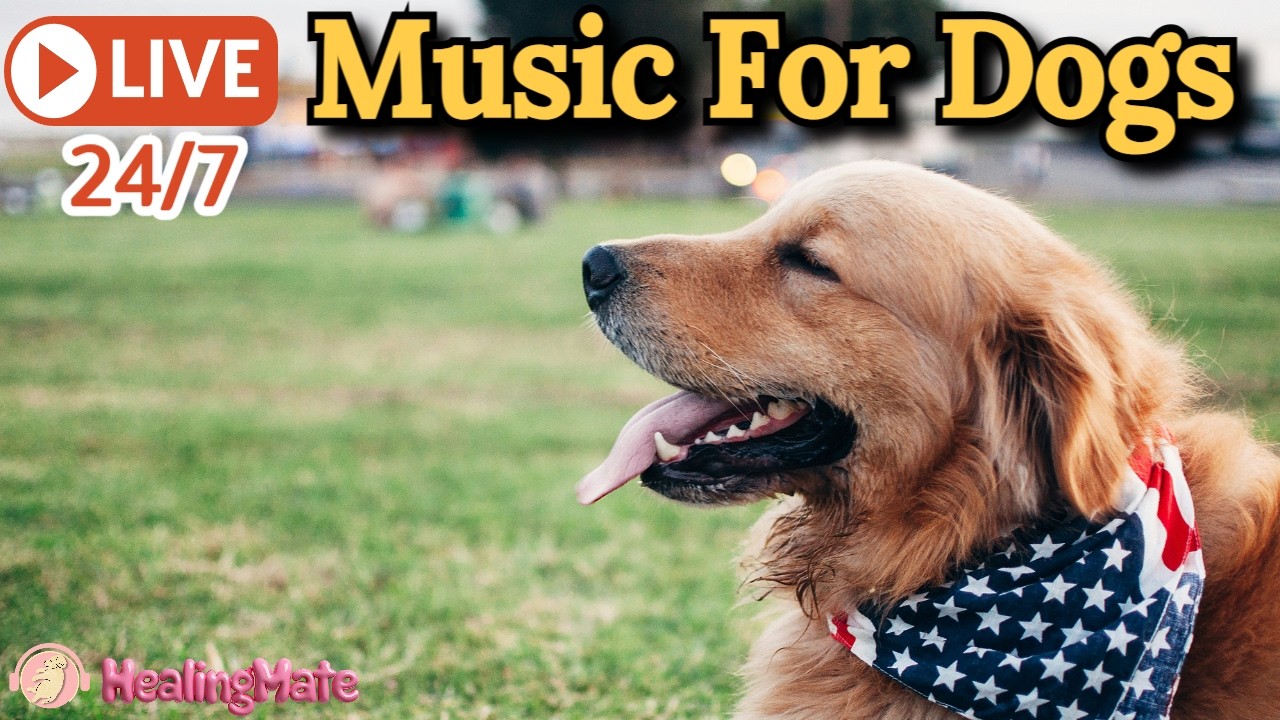 24/7 Soothing Music for Dogs 🐶 Anti-Anxiety