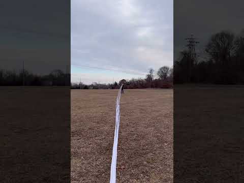 Long enough? 😭 head over to my ig for more! #Shorts