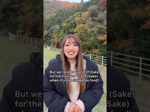 How Do You Say “Salmon” In Japanese? 🍣🇯🇵 #shorts