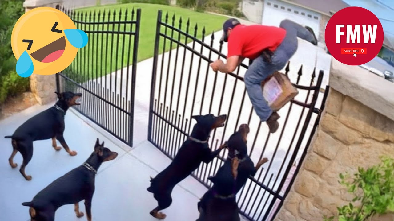 Try Not To Laugh 🤣 Top 100 Funny Videos 2025