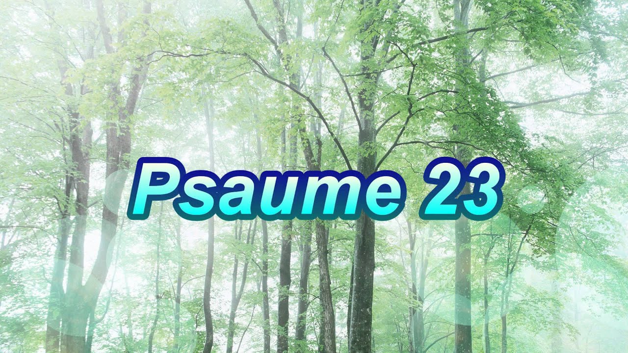 Psaume 23 - Soutenez la chaîne via PayPal ❤️