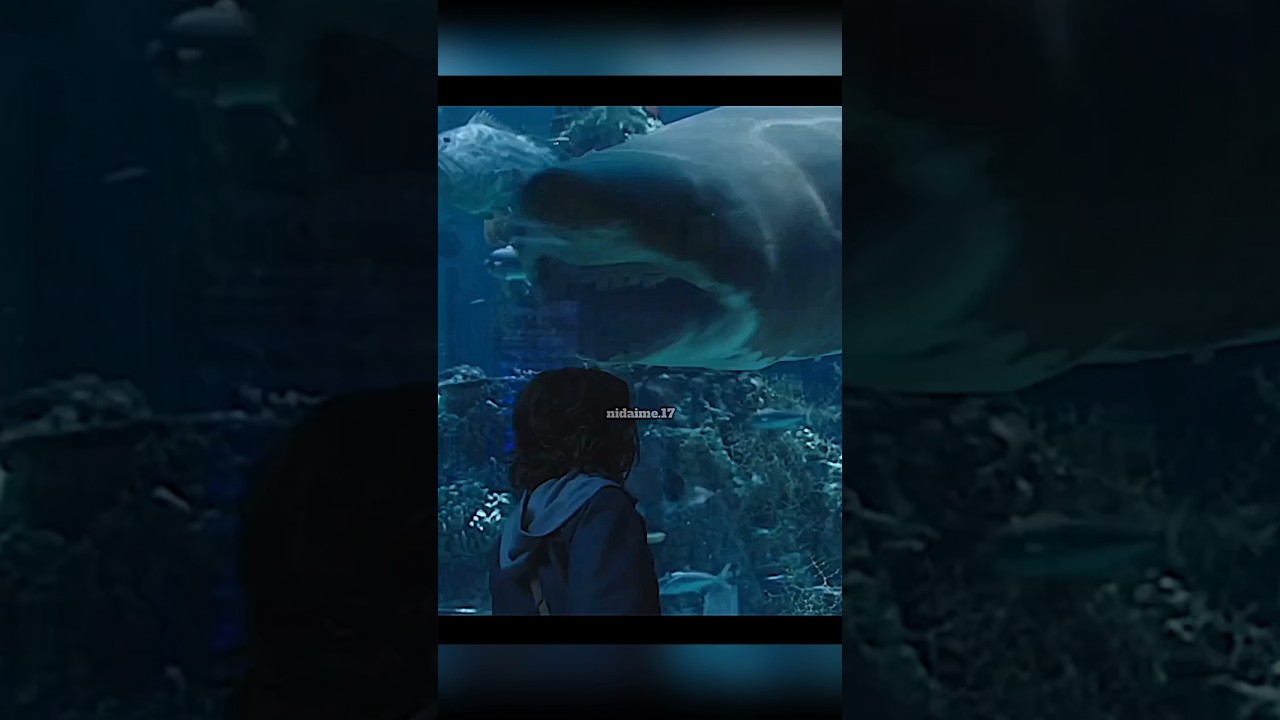 Aquaman: Ein beeindruckender Film 🐠