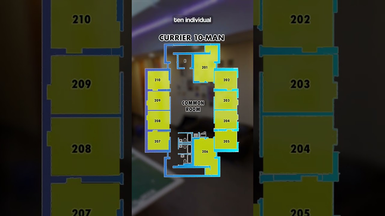 Tour Harvard’s Top Dorm & College Essay Help 📝