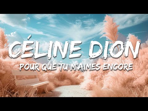 Céline Dion - Pour Que Tu M'aimes Encore (Lyrics)