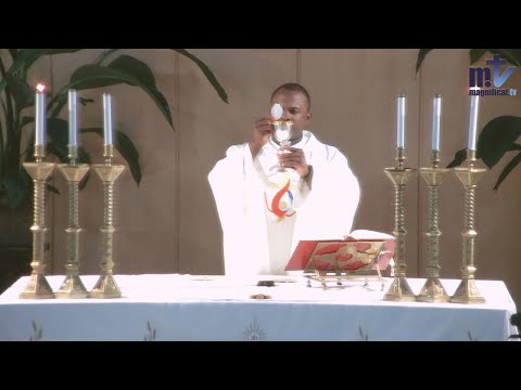 Messe du jour | Mémoire de Saint Charles Borromée, évêque | 04-11-2025 | P. Achille José Nkomo B, FM