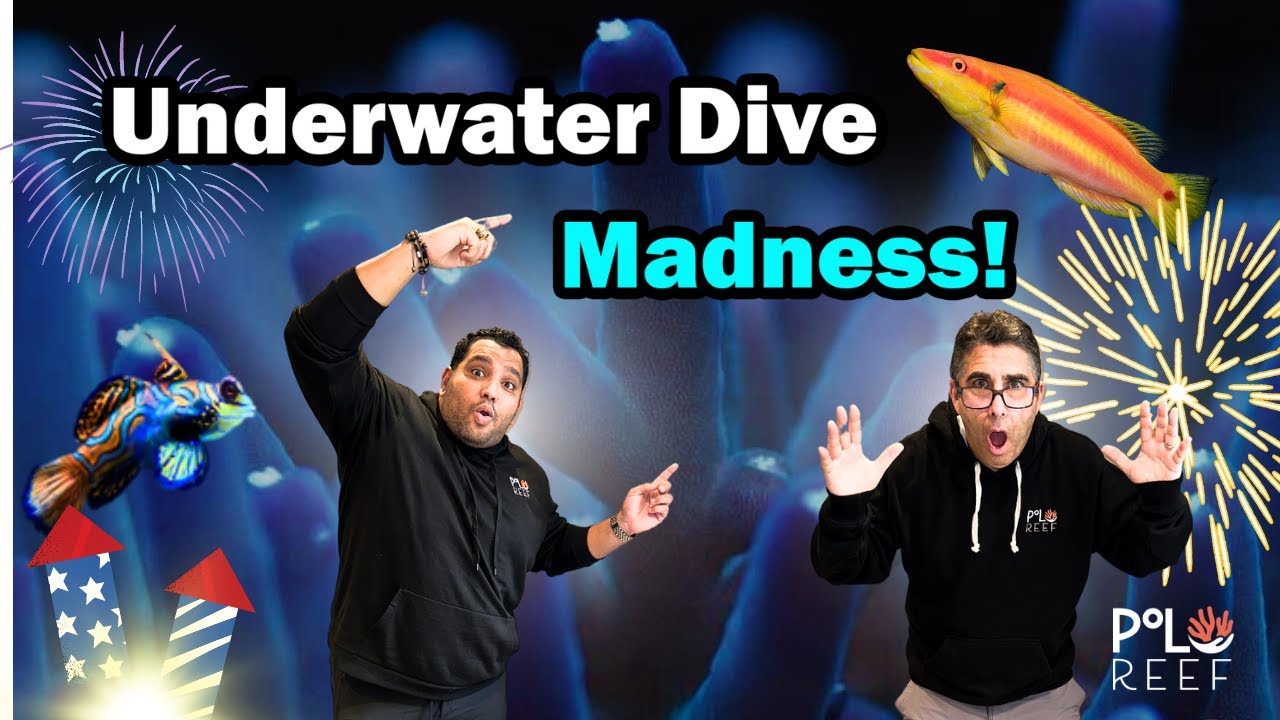 Fourth of July Fireworks inside the 17,000-gallon tank