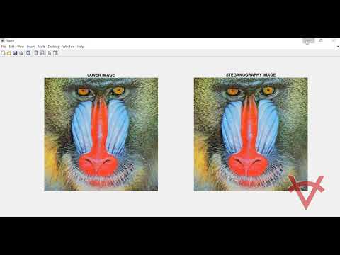 RSA ALGORITHM AND HASH LSB TECHNIQUE FOR IMAGE STEGANOGRAPHY