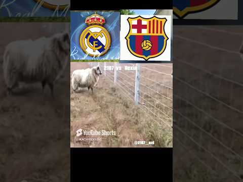 REAL MUXLISLARI BORMI ⚽️⚽️🏆🏆 #ranaldo #shorts #senga bitta maslaxat real bilan o'ynashma #barsa #fud