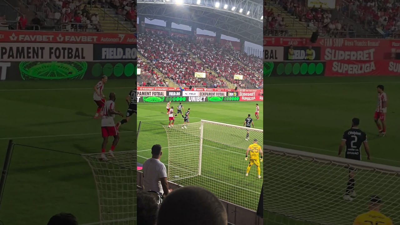 UTA Arad Secures Narrow 1-0 Victory Over Hermannstadt ⚽