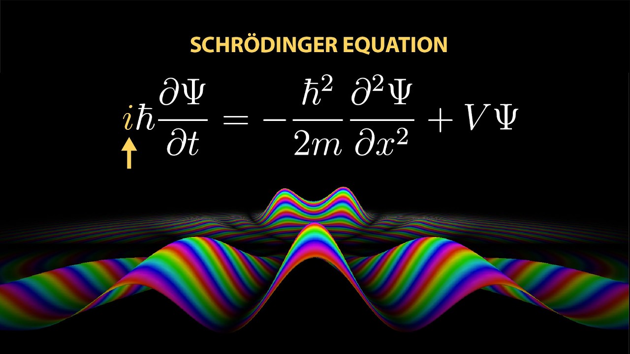 Understanding Your Role in Schrödinger's Equation 🧪
