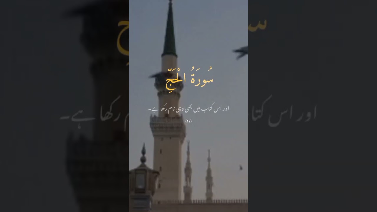 Islamic Wisdom & Teachings on YouTube 📖