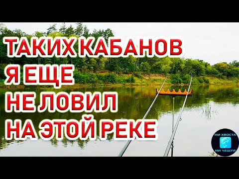 КРУПНЫЙ ЛЕЩ НА ФИДЕР!Рыбалка на леща летом!