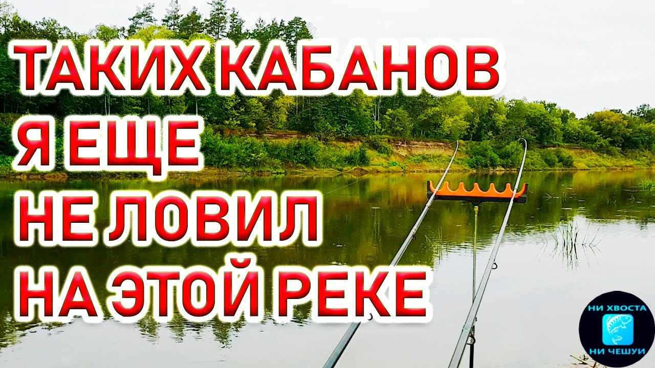 Летняя рыбалка на крупного леща на фидер 🎣 — секреты успешной ловли