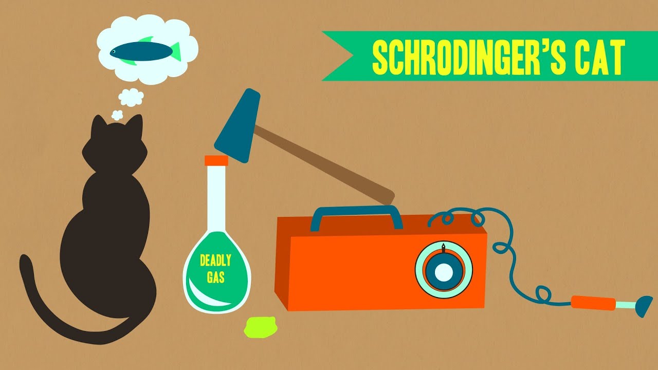 IDTIMWYTIM: Schrodinger's Cat Explained 🐱