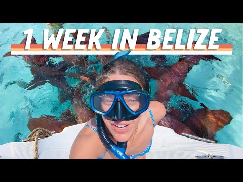THE ULTIMATE BELIZE TRAVEL VLOG // 2 Weeks in Belize