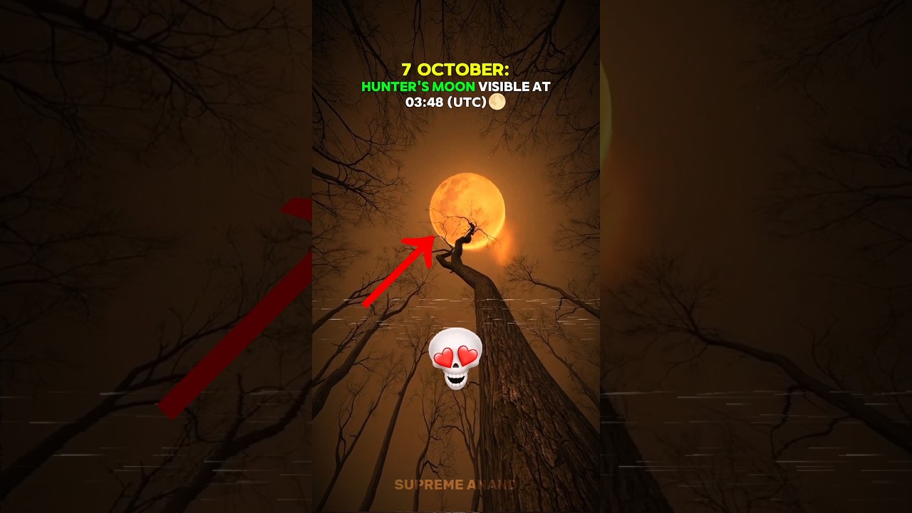 Top Sky Events to Watch in 2025 🌌