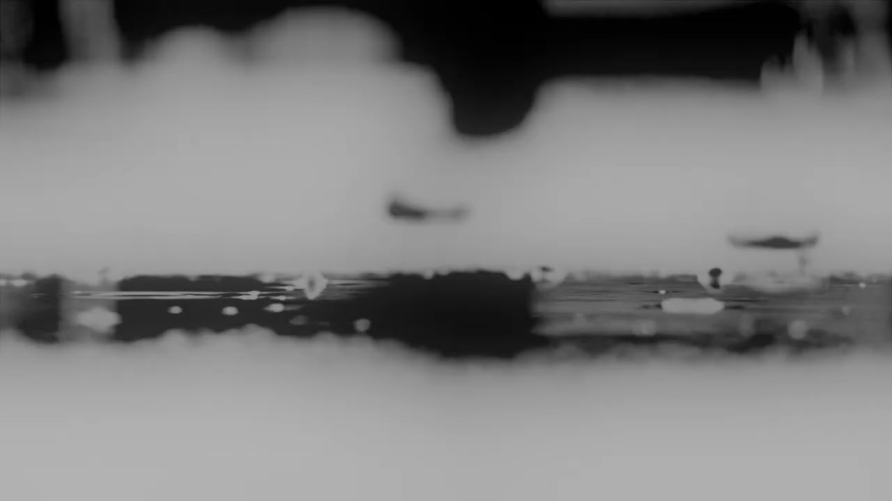 AeOBeat - ACH DANI 🎶