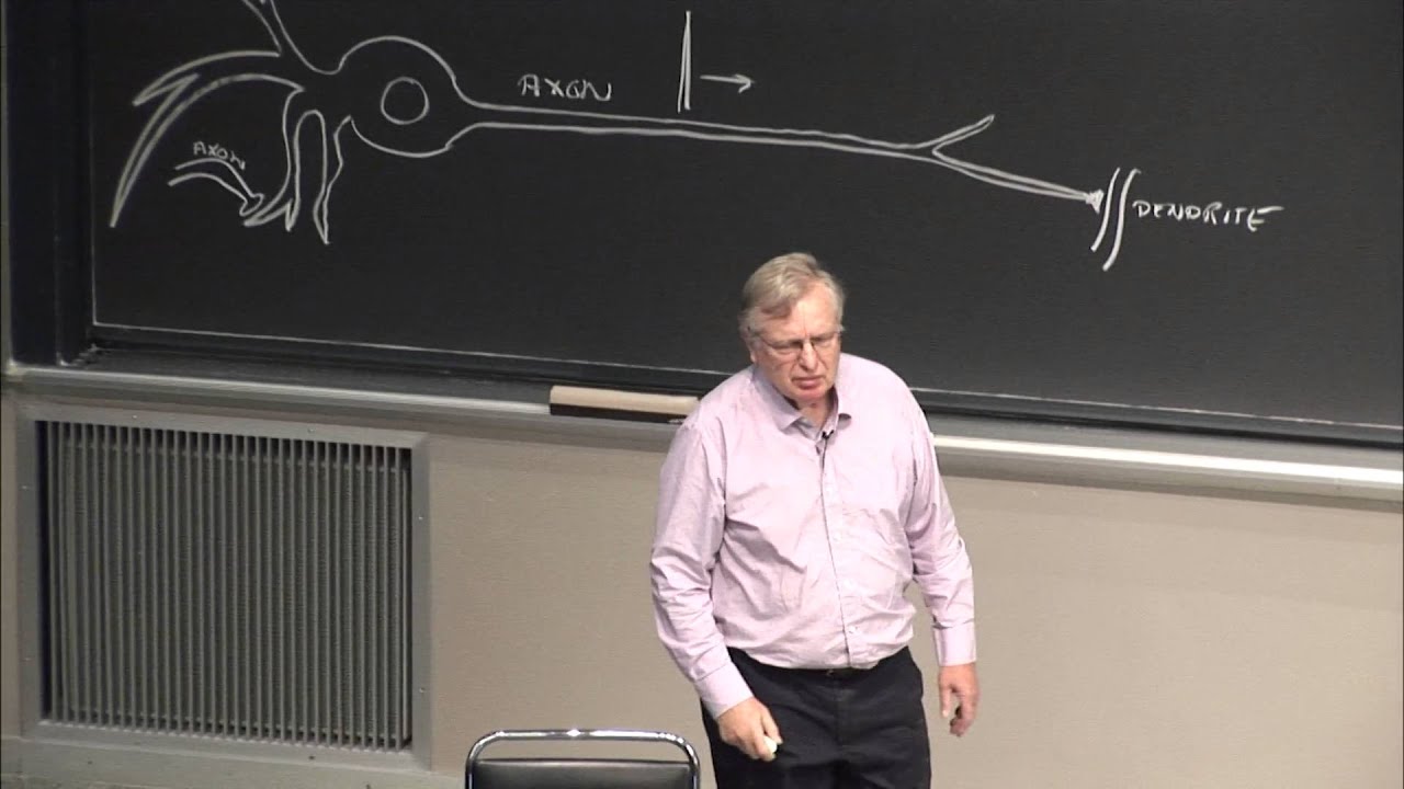 Neural Nets Update | MIT 6.034 AI Fall 2015