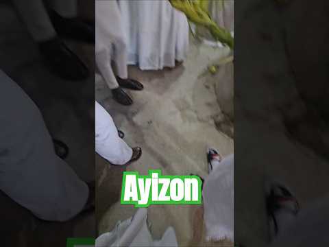 I love Ayizon 🍃 Owner of the Palm and Ritual #ayizon #lwa #loa #vodou #kanzo #fet #ho3
