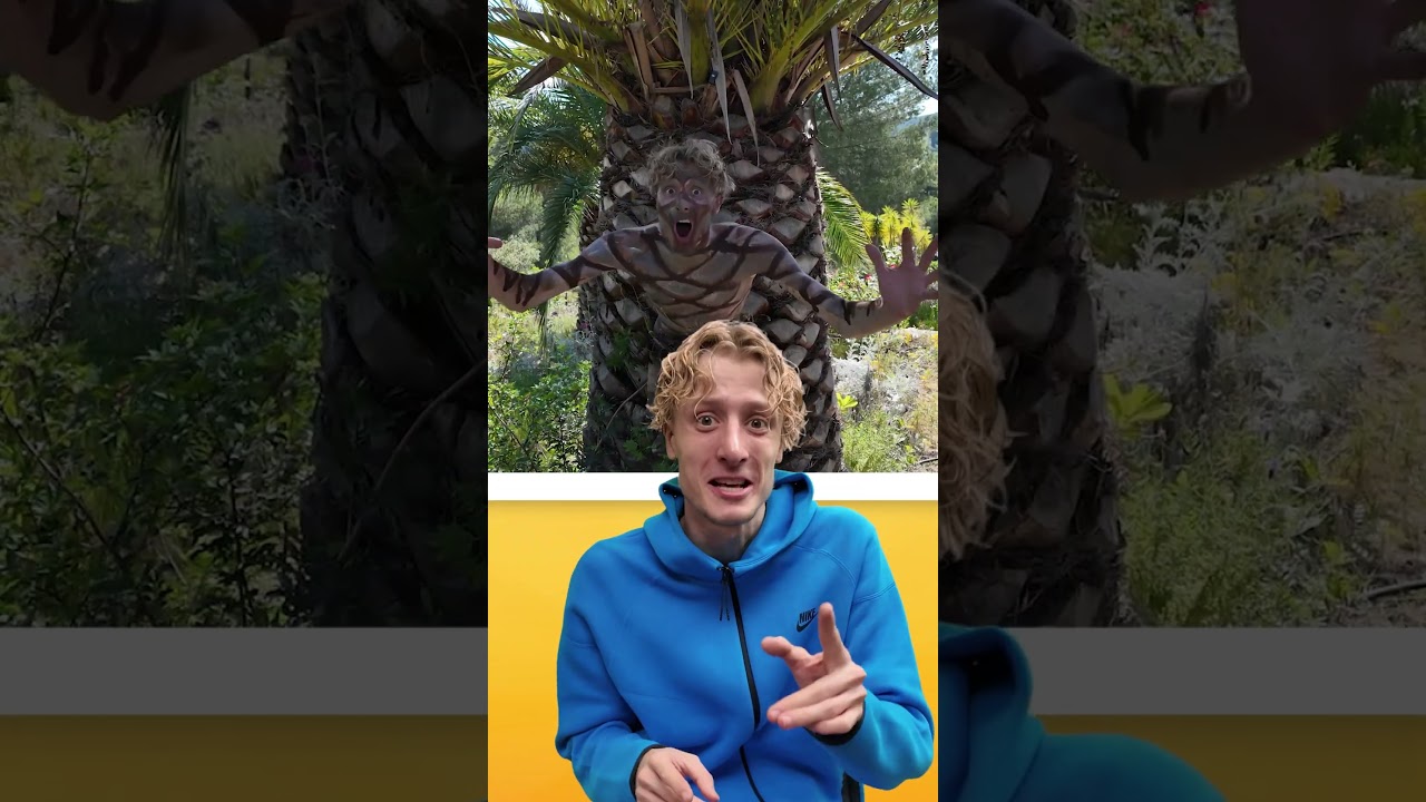 TOP 10 Top 10 Camouflages Incroyables pour un Look Unique 🥷