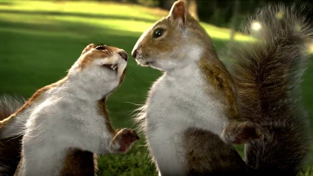 Hilarious Old Kit Kat Squirrel Ad | Relive the Fun Moments 😂