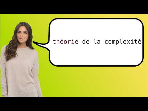 How to say 'computational complexity theory' in French?