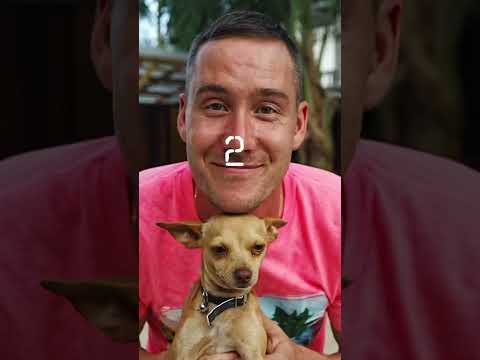 Why are people moving to BELIZE? Part 1 #belize