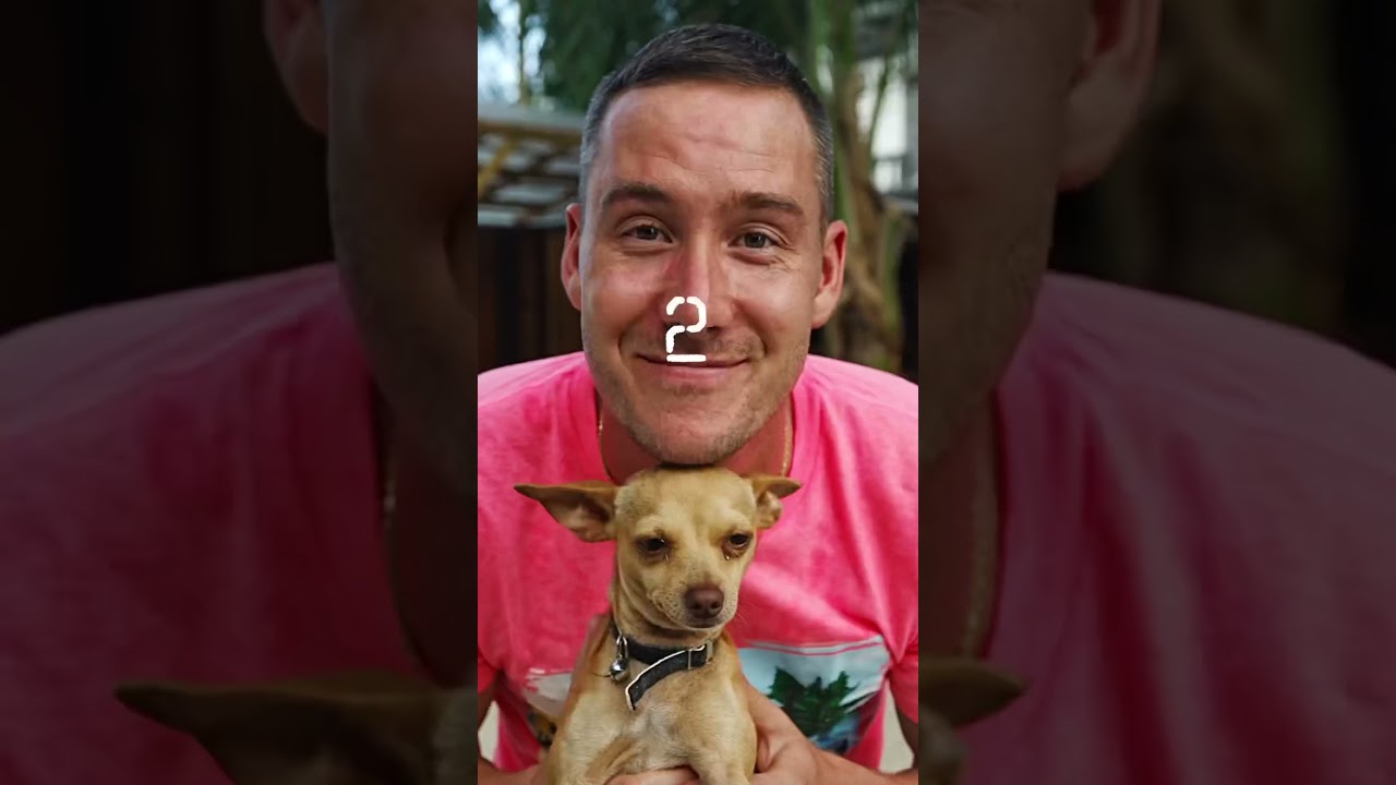 Discover Why Everyone Is Moving to Belize π§πΏ β Part 1