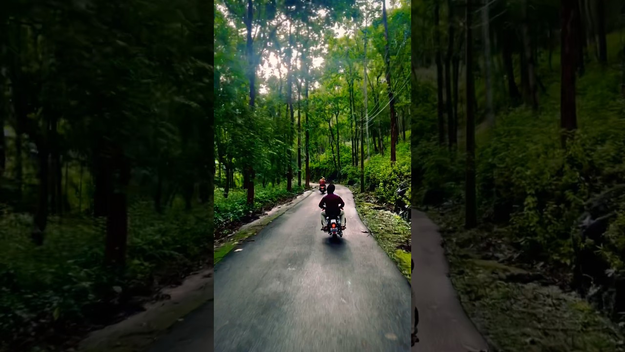Konni Forest & Bullet Ride | Nature & Tourism 🌿
