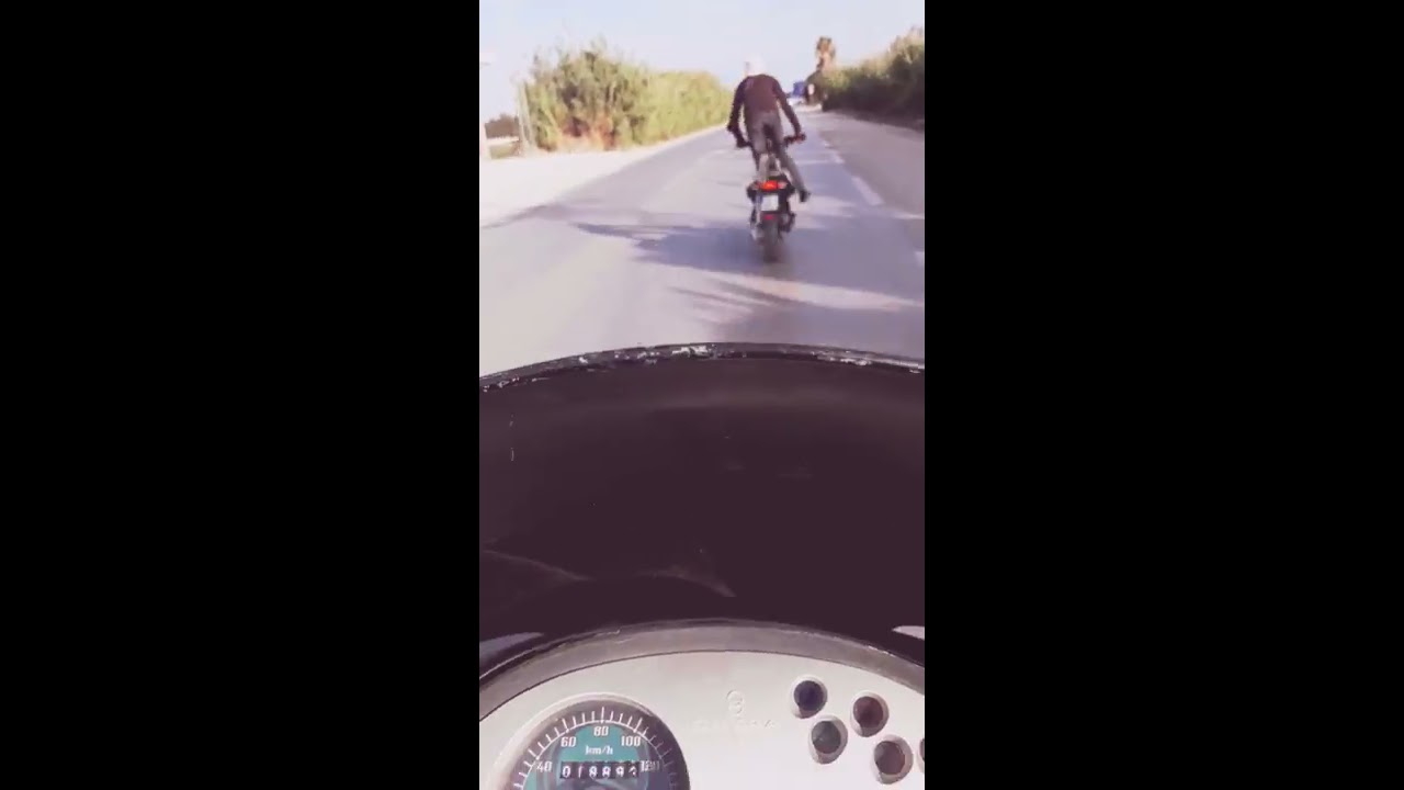 MJ City Achieves Rapid Debut 🚀