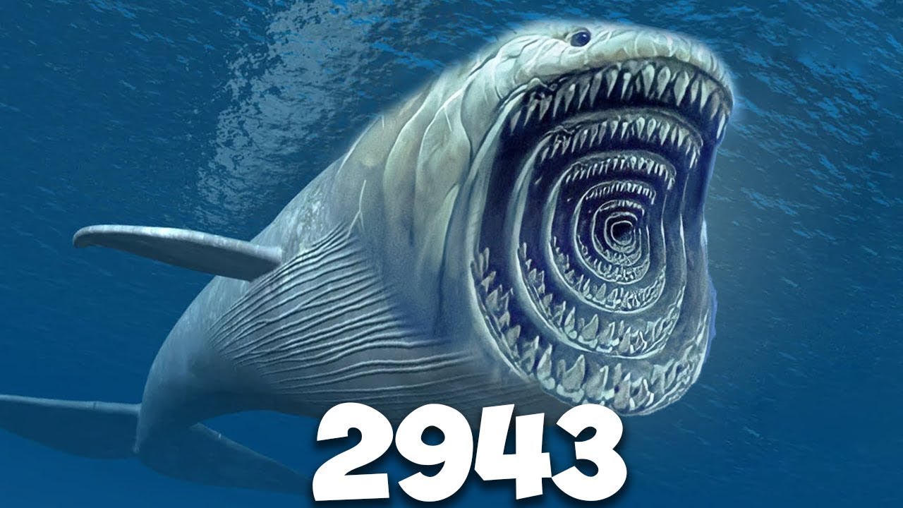 Bloop Evolution: From Start to Now đ„