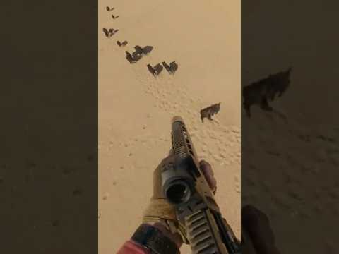 Feral pigs removed on the run. #hunting #conservation #aerialshooting