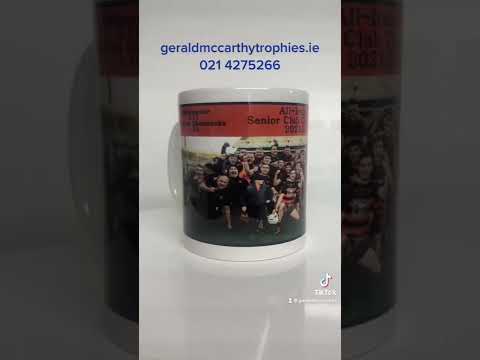 Ballygunner 2022 All Ireland Club Hurling Champions