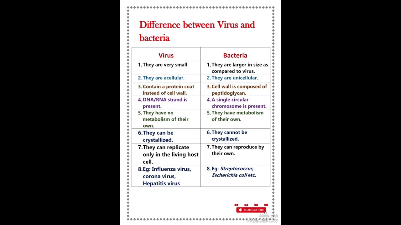 Difference between virus and bacteria
